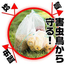 fffdaff9b81de1f5e3e0c7e0c7e1cfe0cff0cff0c0f48069a000900dcc1cdffd