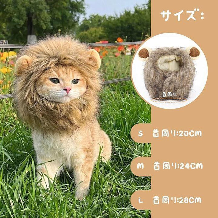 a789a2e838e4d08ce0067ad9806197