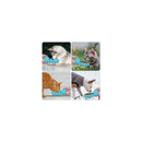 ffff80f88e8886809ec08f80bd80ff80ffff9f9f8f8f878b838fe0dee0f8bfd3