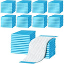 ffff8080c0888088c4c8c480c4c4eefdf87ff041f6fbe1f3f8f3f2f3ffefffdf00000000008b000000d58b000088928b