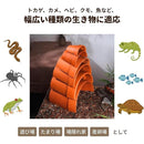 ffffffffefd7fffff02fd01dd01ff017f007d006f007d007b004f10fe12fffff0000000000cebda500000e6b00000d09