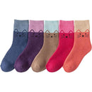 ffffe0f7e3fdebefe175e000e004e004e000c000c000800982018203820b849300000000009f0af2009f0bf300d00901