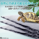 ff80d2a8fff2fd79fffdff35ff62bf16ef14b9c0ef1ffc87cf00fc80ff80fff0898987508580867a7eab102089abaeae