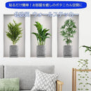 ffff980effffb52bbfb3ceb78c27ce37deb786368423ffffda3f419f615d010b0000002b001010520000006b332b2b1c