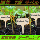 800080008000fffffffffbfffecf58a771f823f02440044004400040fffffbbd00006b002e42442e1d491b1900ae321d