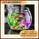 00005e7f5c414fa149514f5949114c3d775d77f942f1459140a1487f401a7fff0101010101a01a9c01449cc9016b1fab