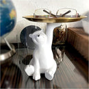 ffffffff9f7f9e859ec398d9b1c0c3c081c081c0c1c081c887f4874c814e80000000000000241d1d000900000022001e