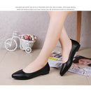 fffff9e7fff0fff0fef0fef0edf0e8d8fce8c488fd88ff50ff40fe01e067f7ff00000000e4f7f2f9deb30907141412ab