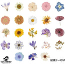 ffffdf669324ffffffff92249befff7f9224f376ffff936793fdfbfff327fbee