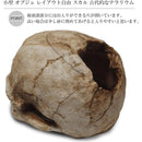 ffffff37fffffbbcfc7ff00fe407c003c003c001c001c003c003c003e007fc070000000000001800001a1704000e1517