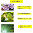 fffff81f81ffc181a98181ffc1ff81ff81ff918181ffffff81818181a1ffa1ff0000800000b93c2b00320000004e002b