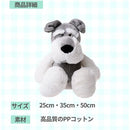 ffffc3fffffffcbffc1ffc3ffe3ffc1ffc0ffe0ffe0ffc0ffddfcdcfffffcdff7b00007b7c7bb27c7babeb7b7b00007b