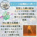 fffff800df70d7ffef05ffedeb6597ffcfffffffdcffffc0ffc0ffc0f3c0ad40969592939a8f181a247ec7a5978b9212