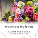 000001e400a0020d15a00328c080c8018000cb60ffffffbffffffffffbefdfff040000eb0e110ef61228f32400000000