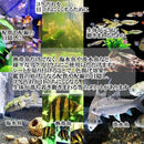 fdc06b80e3c047d8104cd00247c27f9dfdd8e680f7e7fa50a07e00bc6de04101afa4300052af290050002bbd95ad20a4