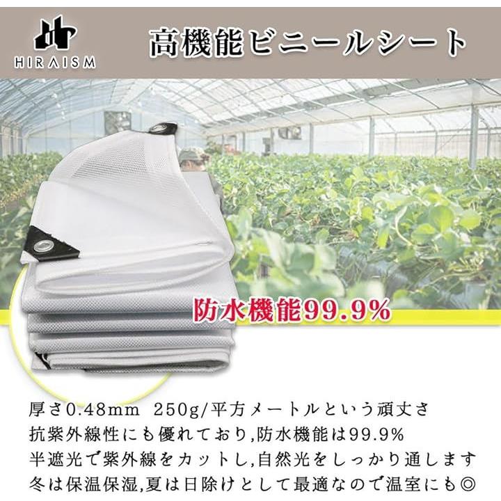 0000012000001fcf3bbf2dc03e083f005f007b4803f087ffffffb2fbffffffff12121212222b325e49eb384900000000