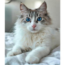 83fefbe37dc70803080308831fa01f6c3e87fff87f7c7ff0f8f061c3fdc5f58f304431307e795e0f87844e308779795e