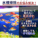 fffffbcfffff0200ff00ff00b010c02407001f141709202c00000008703aff00