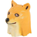 fffffdfffc67f803f807f007f003f003e003e003f003f003f003f003f003fc8f0000000000001a1900131a1a001c1e19