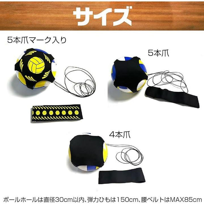 バレーボール 練習 スパイク サーブ レシーブ トス 練習器具