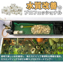 ffffffebfe9fffffff75ffffe000e06080c0e800fdff800080008000980000000000000000240000c95e1f20b231302f