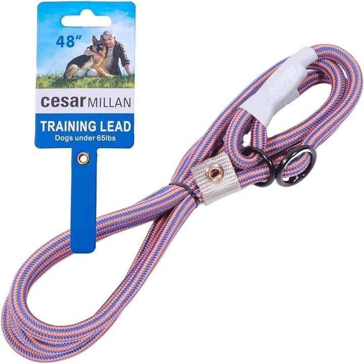 ffffffffe1ffe1f9e1e8e1c5e1c9f783f707f47ff2ffeeffddffdbffc7ffffff00000000001000a00095a9b500000000