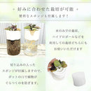 5e7efe7ffe7f3a5ffe7f88ff37ff26ff00ffcdffefffff8fff8ffebffed8fefd383a486444644b472122323b4e445e00