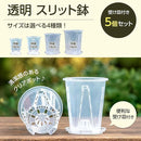 ffffce31fff8e9f0fdf9d7ffffff000000002c880cf01ef00ef716f716ff0ef028282828282b9228322c373c42a28e3e