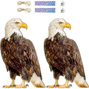 ffffff1fff3ffffffffff3b7f7bfa7878183818181818081c080c0c0ebd3ff5c00000000001e0000000e2b0e0000000e