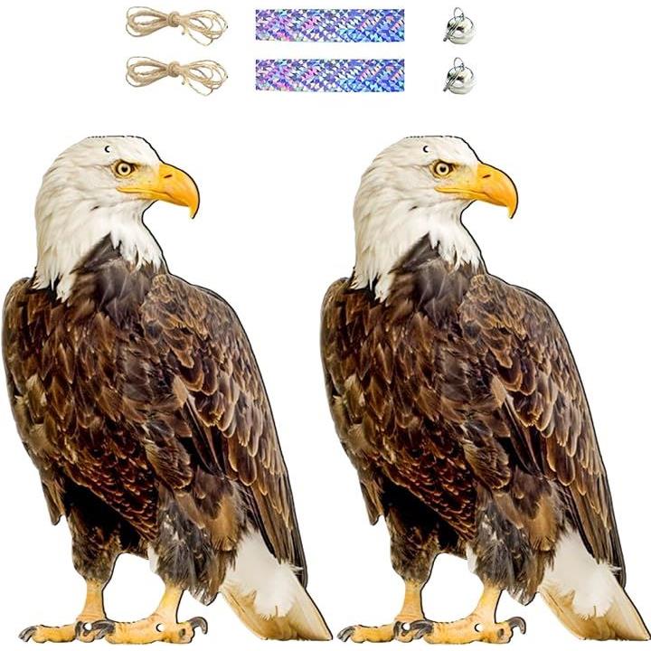 ffffff1fff3ffffffffff3b7f7bfa7878183818181818081c080c0c0ebd3ff5c00000000001e0000000e2b0e0000000e