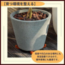 00004aff50074607504f4c3f43fb41f341b140f140f140e140e140a743df7fff0101010101020e2b01337910010b3d30