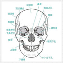 fffffefff03fd3c7f7efc7e7e187c003c00ff00fd243f01fec1ffbfffc7ffbff