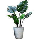 ffffffcfff0ff30ff00ff11bfdc7f80ffc7ffe7fff3ffdbffcbffebffe3ffe3f00000000005d4c0000004e0000008f00