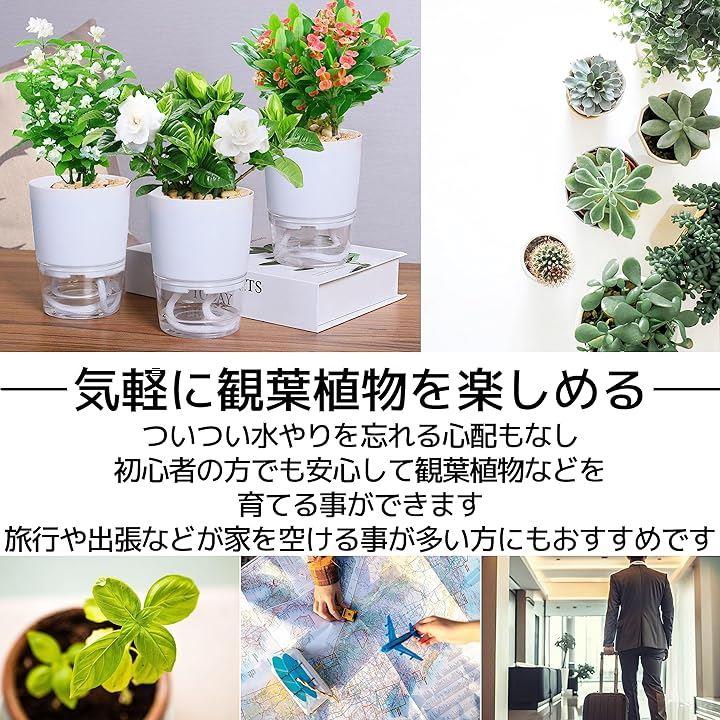 0ffe0e7e807a947ec17b6d7c2fb40738ffffe3e9fffffd9fcfbff50d8fed8ea1