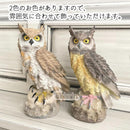 ffffcbbfde5cfbffef8fe38feb9fe907e823c401c611620fe281ee0be083fbe724171a1b25171e1f1e151c121a15172b