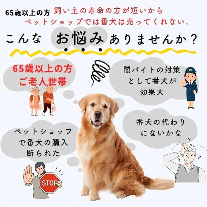 ffff8bbffffff9848684ffffd376e7efe63fff7ffe7fea3ffe1ffe18c600ee8f989b9b9b9f26d5249b12106b9b6b139f