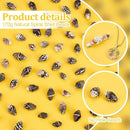 6ca49710ff78f66ef99f8bf3739fd97f7e3e668e3f9ff2c77de1867fb90f0efe21212121211b1221212121221a21211f