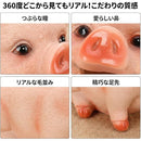fffffff2f3ebbfb0d890879086808088c080ffffff84af80b280a084838085800000002b000e6b09000e600c0010ab10