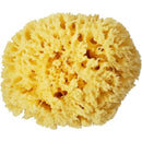 fffffffffffffffffe3ff807f003e003e003e003e003e007f00ffc1fffffffff00000000000023000023131a00212100