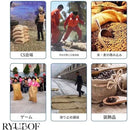 ffffc319c113c109c009c081c221ff7bffffe201c20bc0a1d403f001ffffffff000000000014010f0080878700171a0e