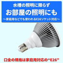 ffff86a88000ae7080008882ffd7ffe3ff81ffc1fff0fde8fd53fdffffffe0d4