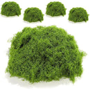 ffff8f8f8888f8f8fffff81fe00fe003e003c001c001c001c001c001f81bffff000000000000000000333b3c00403ab2