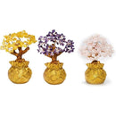 ffffffffffffffffffffce7fe729c421eee3ce73c473ce71ffffffffffffffff00000000000000000000000800000000