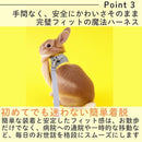 ffffffffffffe007e007e0071c00e807e607e6070200e007002081ffffffc9d7292929292b2929292b2a102a2b291a27