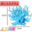 807f007f007fffffff0bfc83fe03fc1bfc05fc0ffa07ff0bfc17fce7ffffa0ff8800000000008c8000758d8700008a90