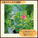 00005f7f4d014601432145714f334c4b449b5a51416140914c074c075c5f7fff01010101015a73410152723e01867e3f