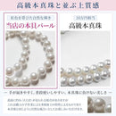 00000428ffffffffffff838fe0ff90ffa6ffc0faac80a080fffffffffff8f7f8f1f1f1f19b008b009b1c8b009b008b00