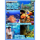 fffc8601d140fee2902a9f9681789809dea0ce88e7808f02ff88fb02a9e1d9ef99999999999da47c991432139990942e