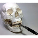 ffe0fff0fff076f83ff07cf83ff83fb807980318000c800ece07e321f830ff9c