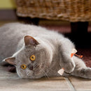 c008e010000000003000ff80ffe0f9f8ddfc197c3ace34c79a97ed10e00cffff241114121714161507091413121a120f